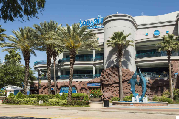 Downtown Aquarium: Marine Life and Family Fun