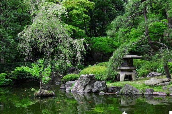 El Parque Memorial Hermann: Naturaleza en el Corazón de la Ciudad